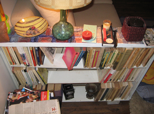 bookshelf1_600.jpg