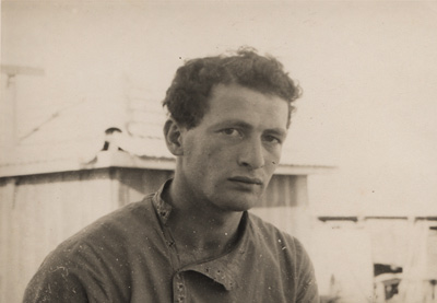 Toni, Schimmel portrait