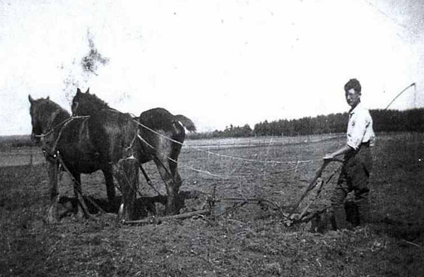 Erwin Linz behind the plow.