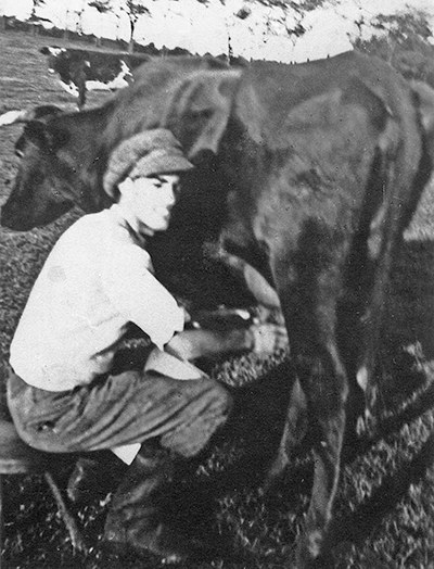 Milking cow, Jägerslust, Flensburg.